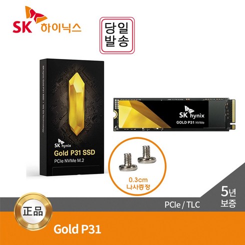 SK하이닉스 GOLD P31 M.2 NVMe 이걸로 종결