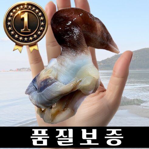 여수 새조개 실중량 500g 완전손질 솔직 후기