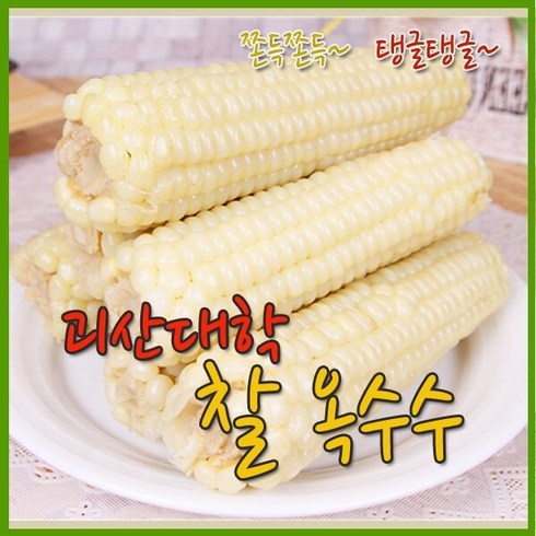 최상품 삶은 괴산 대학찰옥수수 생대학찰 할인 꿀팁