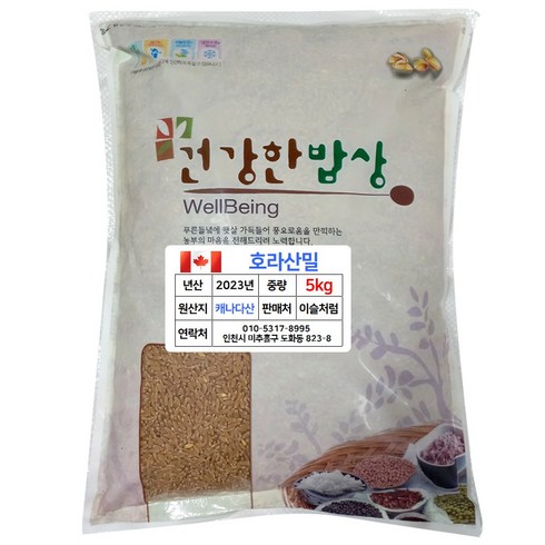 국내산 호라산밀 5kg 찐 후기