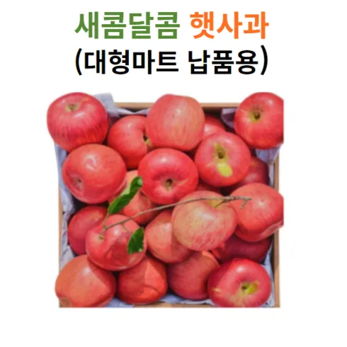 새콤달콤 햇 빨간사과 4.5KG 할인 후기